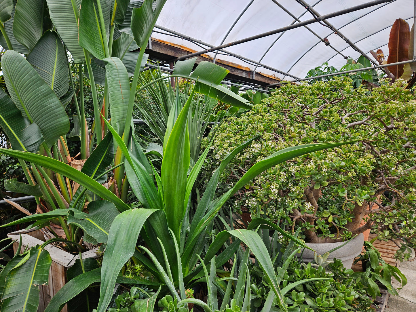 Tropical Storage: Payment Due