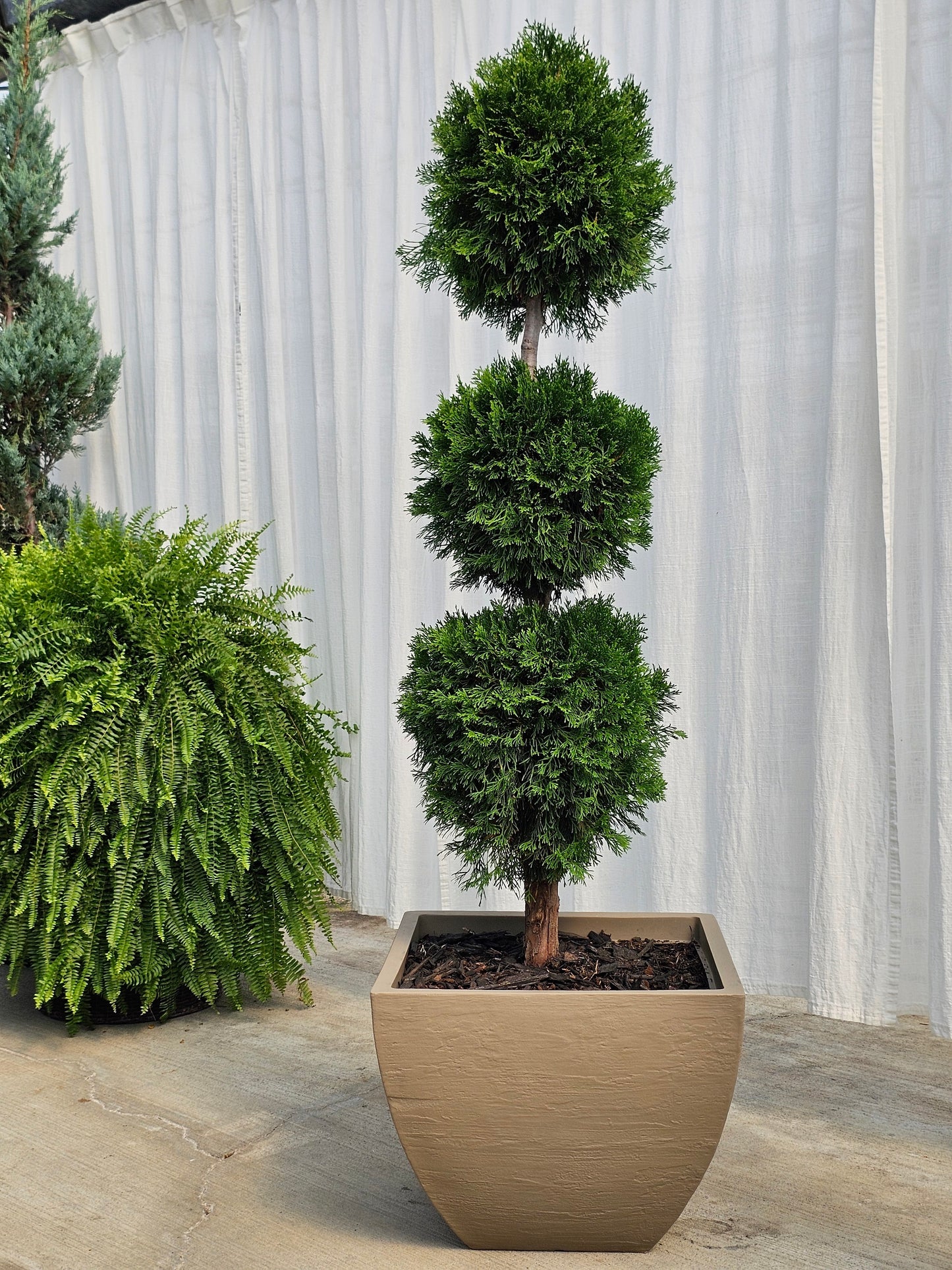 Event Rental - Deposit for Theme, Placement & Consultation