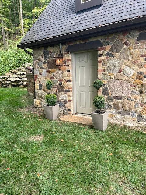 2-Tier Ball Topiary - Boxwood (medium/taupe)