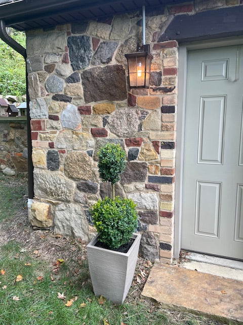 2-Tier Ball Topiary - Boxwood (medium/taupe)