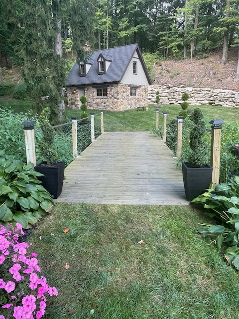 Spiral Topiary - Boxwood (medium/black)