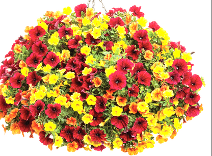 10" Top Seller Proven Winners Combo Basket - Sacred Heart